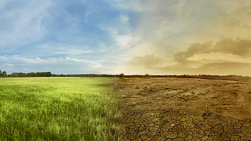 A landscape that shows the possible effects of climate change.